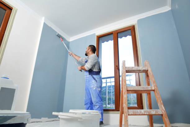 Best Mold Prevention Services  in Baraboo, WI