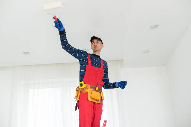 Baraboo, WI Mold Removal Company