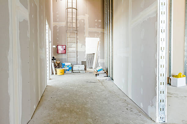 Best Biohazard Mold Removal  in Baraboo, WI